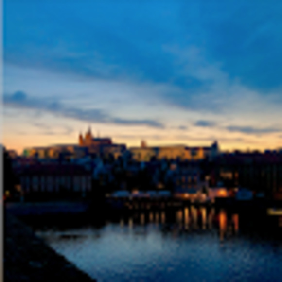 Meet your Posher, Ryan - Picture 1 of 1